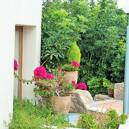 Aparthotel Alexandros M